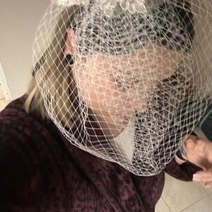 Elegant White Cage Veil